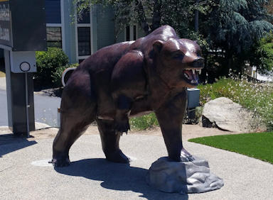 The World Famous Talking Bear